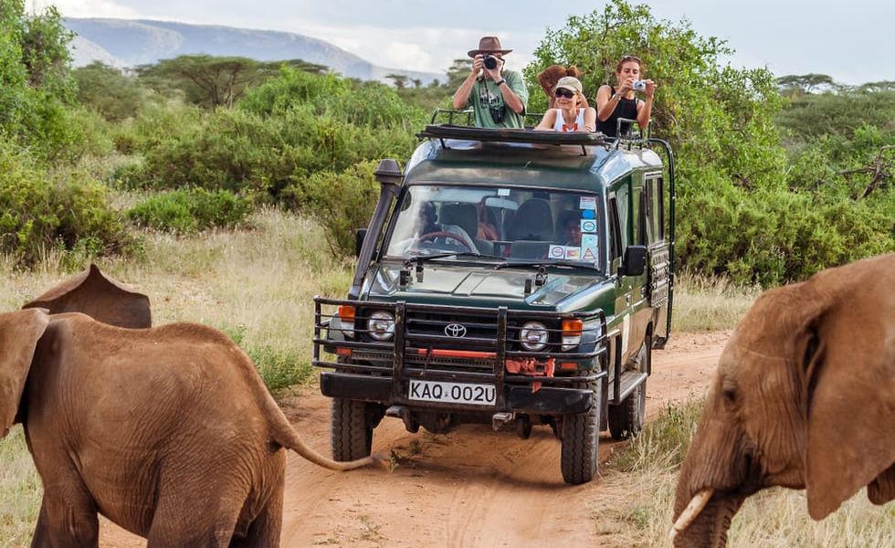 Simpress Premia Colaboradores E Parceiros Com Viagem Para o Safari na África do Sul